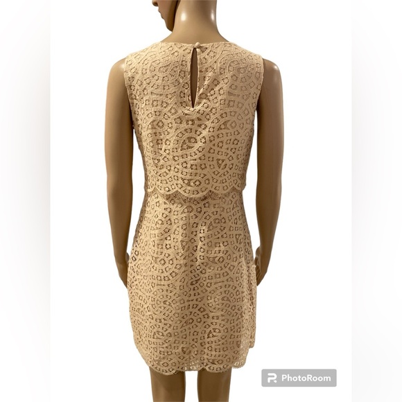 J.Crew Lace dress size 2 - Picture 4 of 5